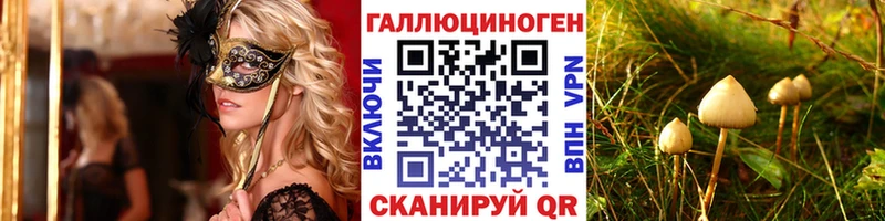 Галлюциногенные грибы Magic Shrooms блэк спрут tor Вольск