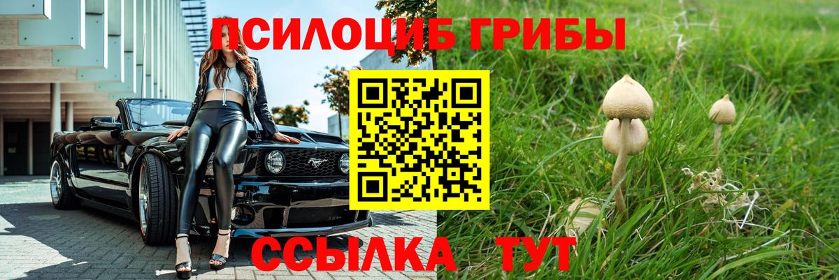 Вольск  Галлюциногенные грибы Psilocybe  Галлюциногенные грибы Psilocybine cubensis  Вход с VPN 